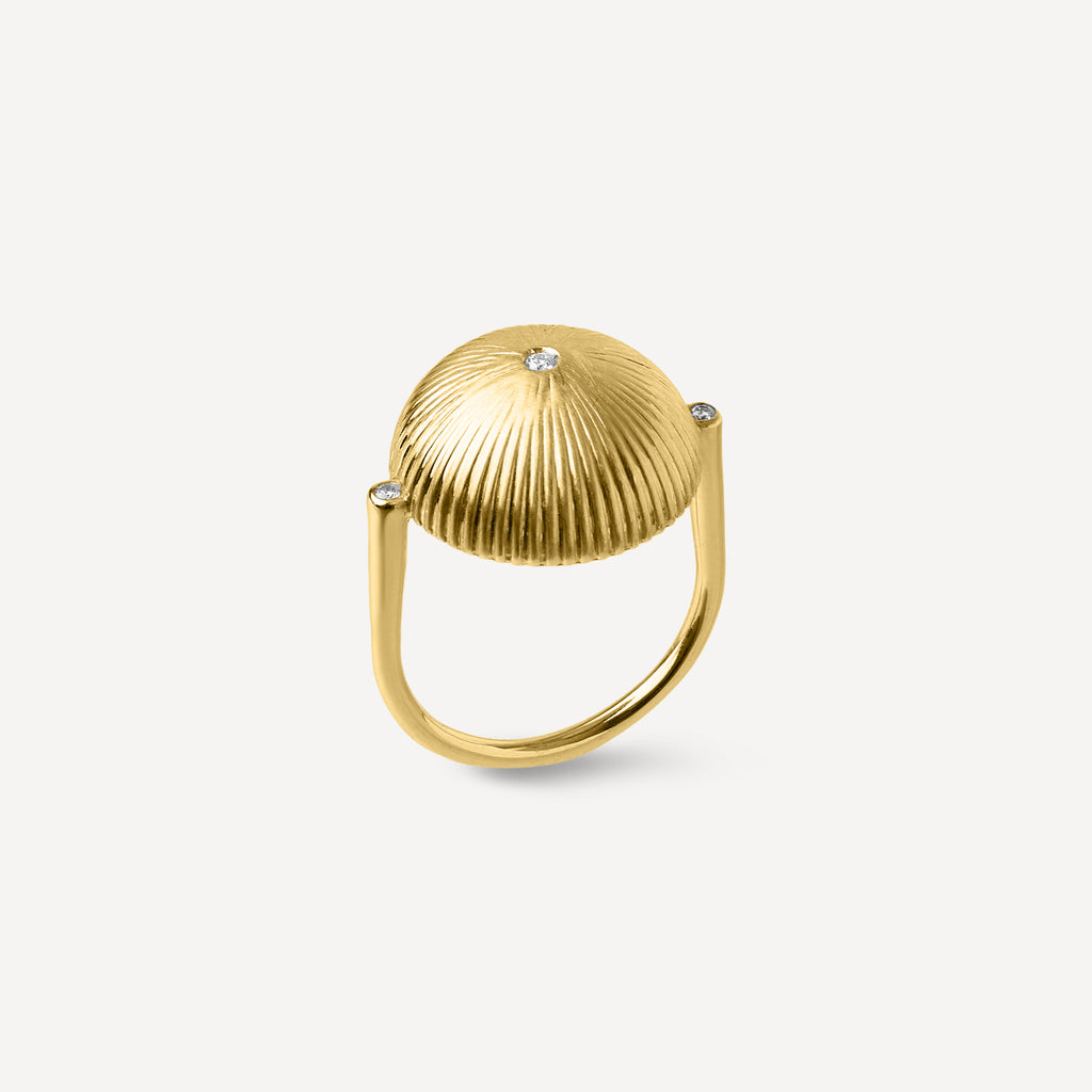 Anel Relíquia em Ouro 18k e Diamantes
